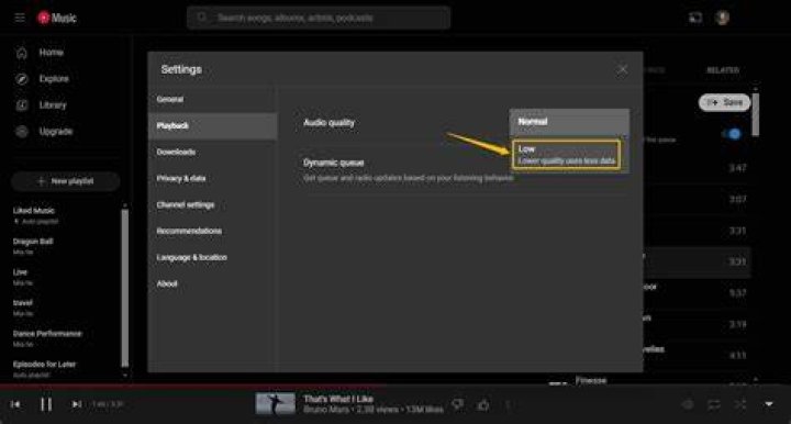 Browser caching and site data settings for streaming