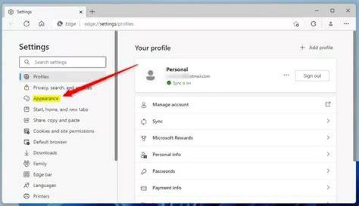 Browser profile and clean session for smoother streaming