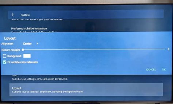 Fullscreen viewing mode and subtitle layout adjustments