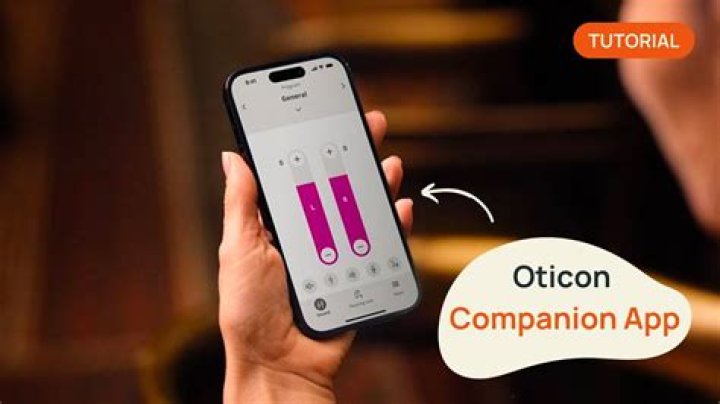 Installing the companion app for winnoise setup