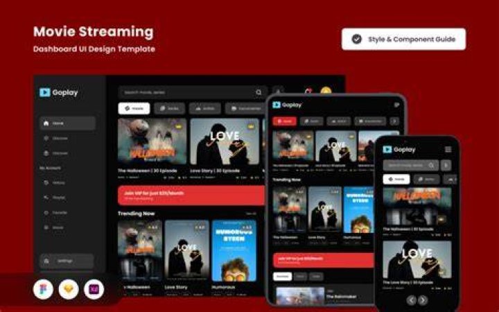 Movie streaming platform features and user experience