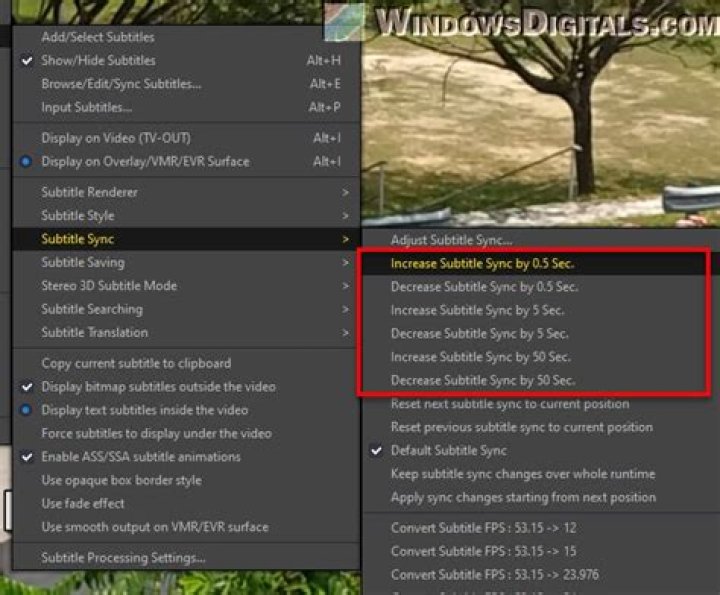 Audio tracks and subtitles controls for video playback