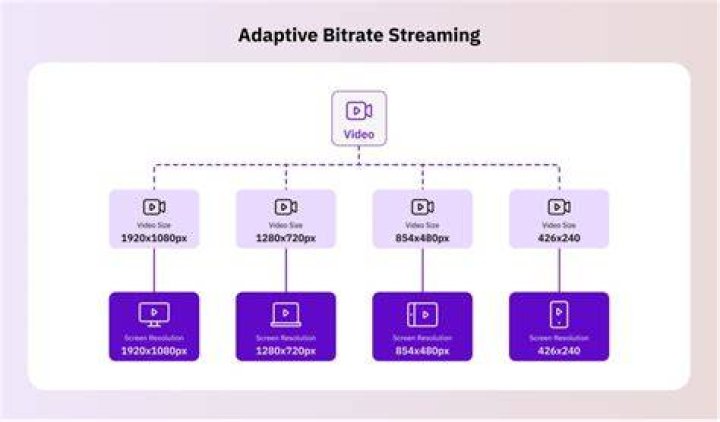 Quality settings and buffering behavior in video playback
