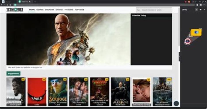 Playback controls in the www.123movies player